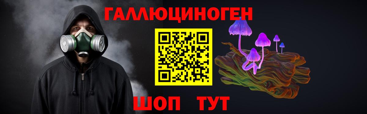 Галлюциногенные грибы MAGIC MUSHROOMS  Вход с VPN  Кузнецк 